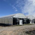 Blackout System Polycarbonate Auto Light Dep Poly Greenhouses 30-60m