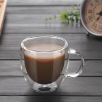 450ml Insulated Borosilicate Double Wall Glass Cup
