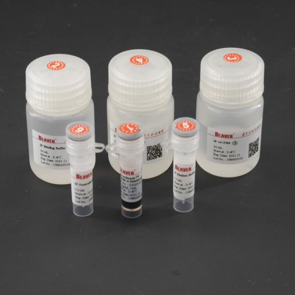 Buy cheap 10 mg/mL Magnetic Beads For Immunoprecipitation For Target Capture from wholesalers