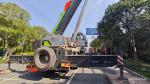 Zoomlion Lifting Equipment Lift 200 Ton Mobile Crane High Quality Construction