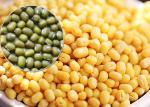 Peeled Green Mung Beans Natural Agricultural Products Healithy For Cake