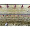 Buy cheap Poultry Equipment Chicken Feeders Drinkers Poultry Automatic Animal Feeders Chicken Feeder from wholesalers