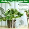 Buy cheap Transparent Phalaenopsis Flower Pot With Not Coated Finishing from wholesalers