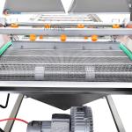 Automatic Conveyor Belt Industrial Fruit Vegetable Cleaning Machine for Farms