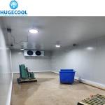 Commercial Cold Storage Room with Freon Refrigerant and Suitable Temperature