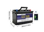 Deep Cycle Bluetooth Lithium Ion Lifepo4 Battery 12v 100ah