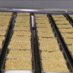 Fully Automatic BFP-800 Fried Instant Noodle Production Line