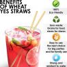 Buy cheap Strong Biodegradable Paper Drinking Straws Waterproof Paper Smoothie Straws from wholesalers