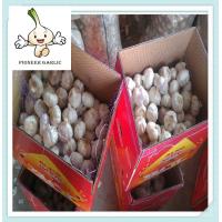 Buy cheap 2016 Chinese Fresh Garlic/Garlic/Natural Galic High quality chinese garlic product