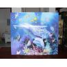 Buy cheap PLASTIC LENTICULAR 5d picture flip 3d picture three d lenticular pictures from wholesalers