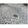 Buy cheap Shoes Waste Shredder/ Multifunctional Shredder/ Hazardous Waste Shredder from wholesalers