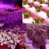 Buy cheap -20℃ 4H 3 Heads USB Phyto Led Plant Growth Light from wholesalers
