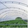 Buy cheap Plastic Film Steel Frame Tunnel Greenhouse for Farm from wholesalers
