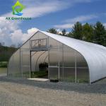 Peach Type Roof Single Span Greenhouse