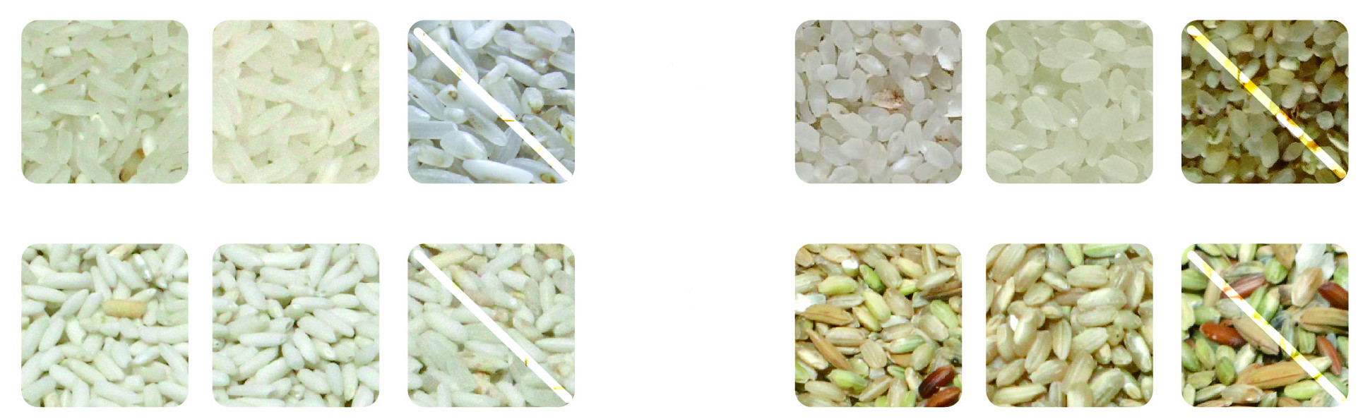 multi purpose Mini Rice Color Sorter 300-500kg/h ISO9000 certificate