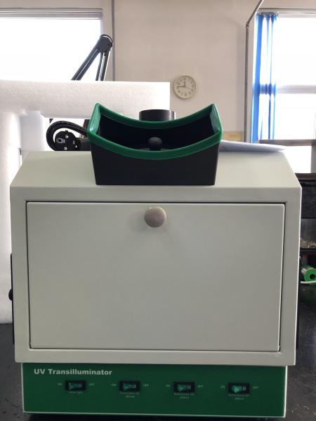 Buy cheap Biology Laboratory Equipment Gel Imager UV Transilluminator UV lamp 254 , 365nm from wholesalers
