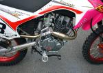Pink Color Lady Trail Bike Motorcycle 106KG Net Weight Electric / Kick Start