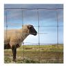 Buy cheap Fixed Knot Woven Wire Field Game Fence for Agriculture Field Decoiling Service Provided from wholesalers