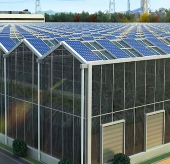 Buy cheap Commercial Photovoltaic Greenhouse with Film Cover Material and Unheated Heating from wholesalers