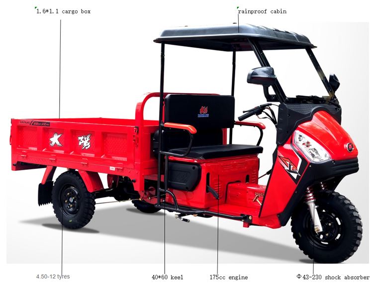 Motorized Tricycle Cargo 3 Tons Tricycles 3 Tires for African Market Performance