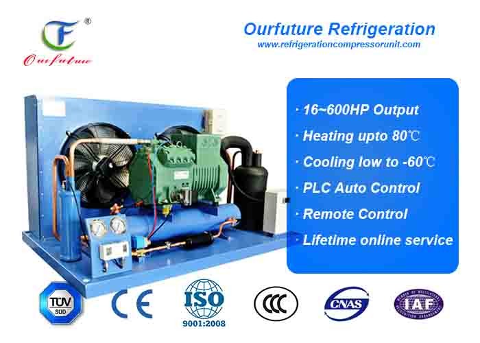 15hp R404a Brand Reciprocating Compressors CDU Unit 380V/3P/50Hz
