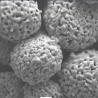 Buy cheap Spherical Cr3C2 20NiCr Chromium Carbide Powder WOKA7102 Thermal Spraying Powder from wholesalers