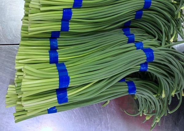 Buy cheap HACCP Fresh Garlic Bolt from wholesalers