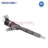 Buy cheap 0445110307 for bosch common rail injector manufacturers 0 445 110 307 Common Rail Injector 5263308 from wholesalers
