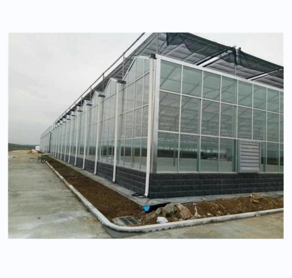 Super Strong Resistance Venlo Glass Greenhouse for Commercial Agricultural