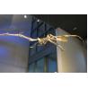 Buy cheap Full Size Fiberglass Dinosaur Fossil Model , Life Like Complete Dinosaur Bone Model from wholesalers