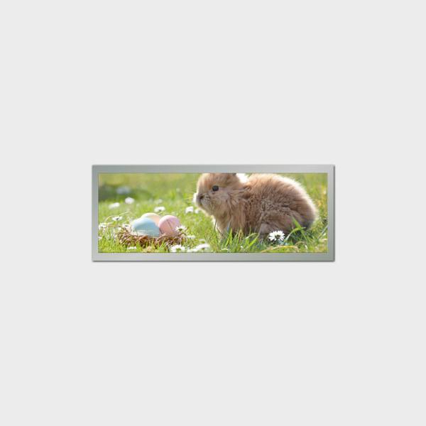 Buy cheap Bar Type 9 Inch LCD Display Screen 1280*448 LVDS 500nits For Public Transportation from wholesalers