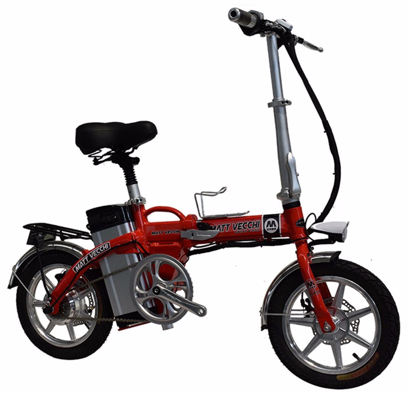 48V 250W Brushless Motor Mini Folding Electric Bike 14 Inch With Compass Rim