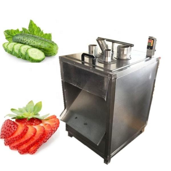 Buy cheap Stainless Steel Vegetable Slicer Machine Industrial Fruit Cutting Machine 0.75KW from wholesalers