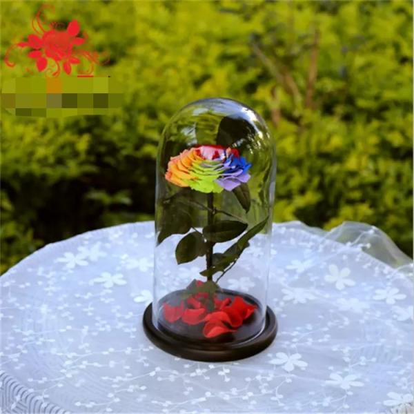 Buy cheap Beautiful Rose Flowers Everlasting Rose Preserved Flower Eternal Rose in Glass from wholesalers