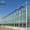 Buy cheap US 40/Piece Agriculture Greenhouse Construction Polycarbonate Sheet Covered for Tomatoes from wholesalers