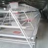 Buy cheap U Shape Q235 Steel Wire Poultry Cages , 125 * 100 * 63mm Chick Rearing Cage from wholesalers