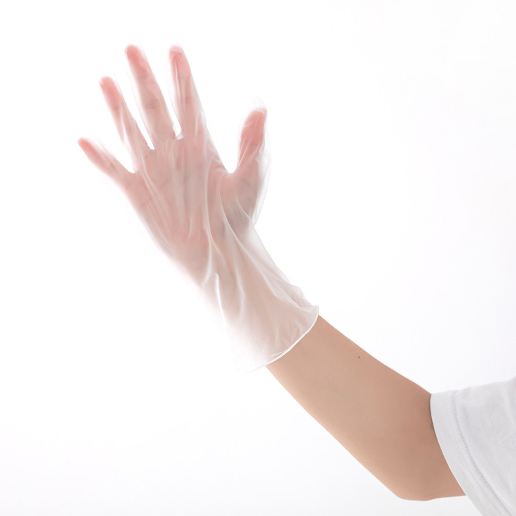 PVC Transparent Disposable Protective Gloves Powder Free Vinyl