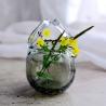 Buy cheap Transparent Custom Hemispherical Glass Flowerpot from wholesalers