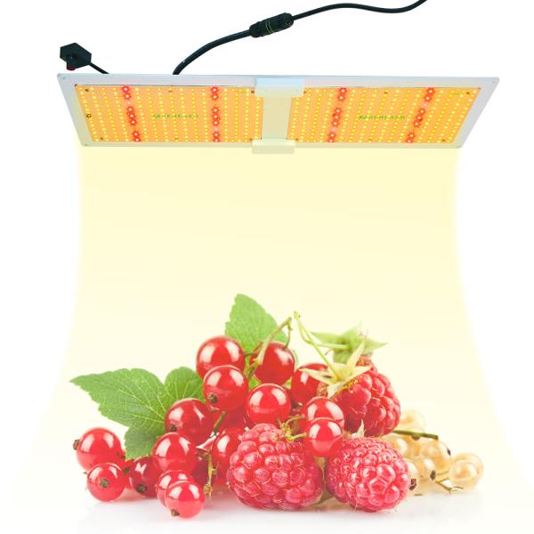 Buy cheap Dimming 660nm 300W IP65 Waterproof LED Plant Light 50000H from wholesalers