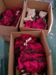 customize red wine bag