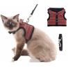 Buy cheap Cute Cat Harness Collar With Heavy D Rings from wholesalers