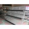 Buy cheap Electric Galvanized 128 Chickens Poultry Cage For Laying Hens , Battery Caged Hens from wholesalers