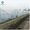 Buy cheap 10m Plastic Single Tunnel Greenhouse Uv Resistant Clear Sheeting from wholesalers