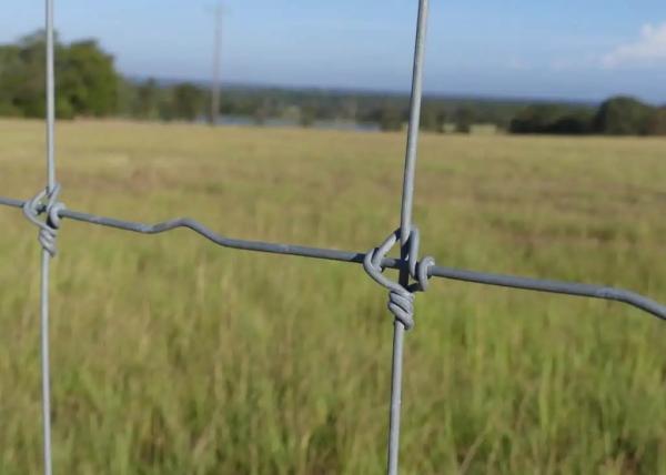 Buy cheap 2.0mm Farm Filed Fixed Knot High Tensile Fence Sustainable Easily Assembled from wholesalers