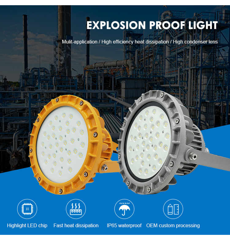 Explosion Proof High Bay Light Fixture 50W 100W 200W