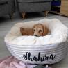 Buy cheap Cream Striped Snuggle Calming Dog Bed OEM ODM Covered Dog Bed Calming Dog Bed Dog Mattress Bed from wholesalers