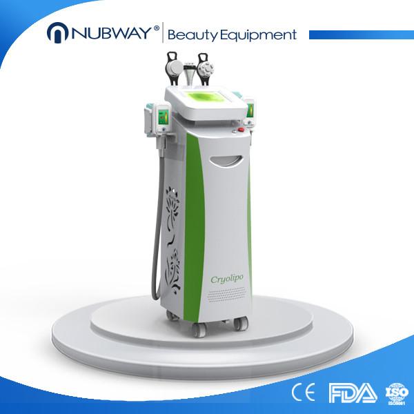 Buy cheap multifunctional cryolipolysis slimming machine freezing fat machine / cryotherapy device from wholesalers