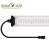 Buy cheap Samsung LM301B Osram 650Watt Daisy Chain Grow Lights from wholesalers