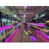 Buy cheap Transparent Poster Curtain Display LED Cylinder 62500 Points/Square Meter SMD2121 from wholesalers
