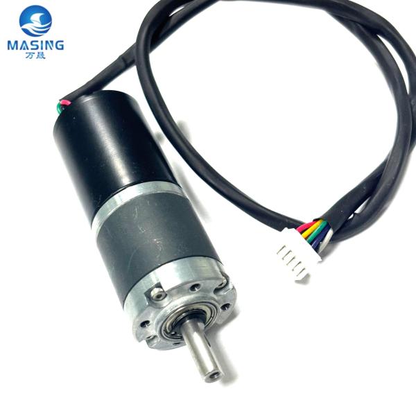 BL2838 28mm Brushless BLDC Motor 12V 6V 24 Volt DC Planetary Geared Motor With